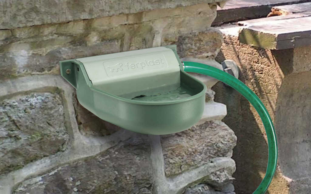 Fontanelle per animali: l'acqua corrente per i 4 zampe