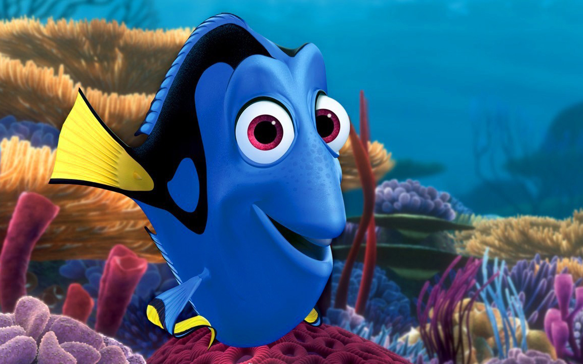 Un acquario da film: i pesci di Alla ricerca di Dory!