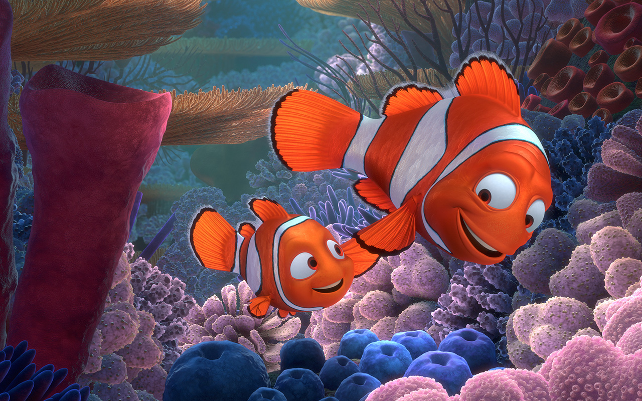 Un acquario da film: i pesci di Alla ricerca di Dory!