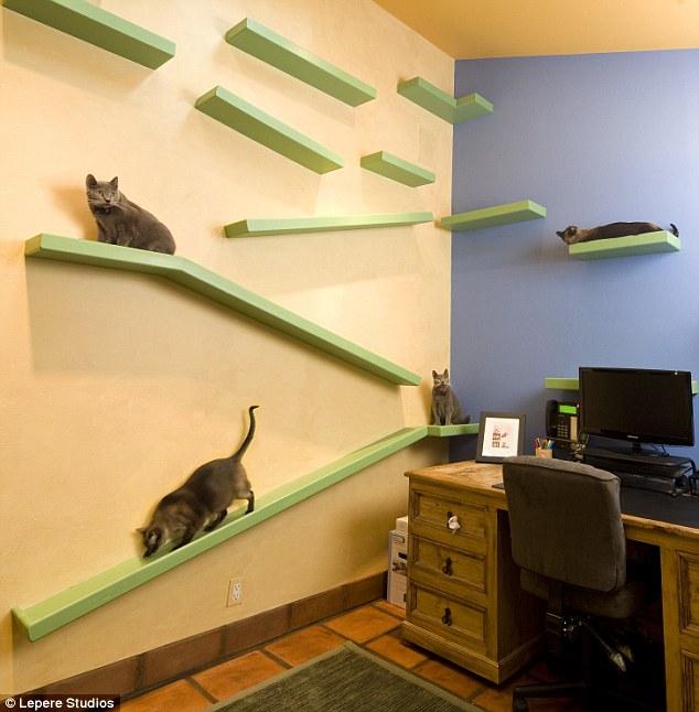 La casa per gatti di Peter Cohen in California