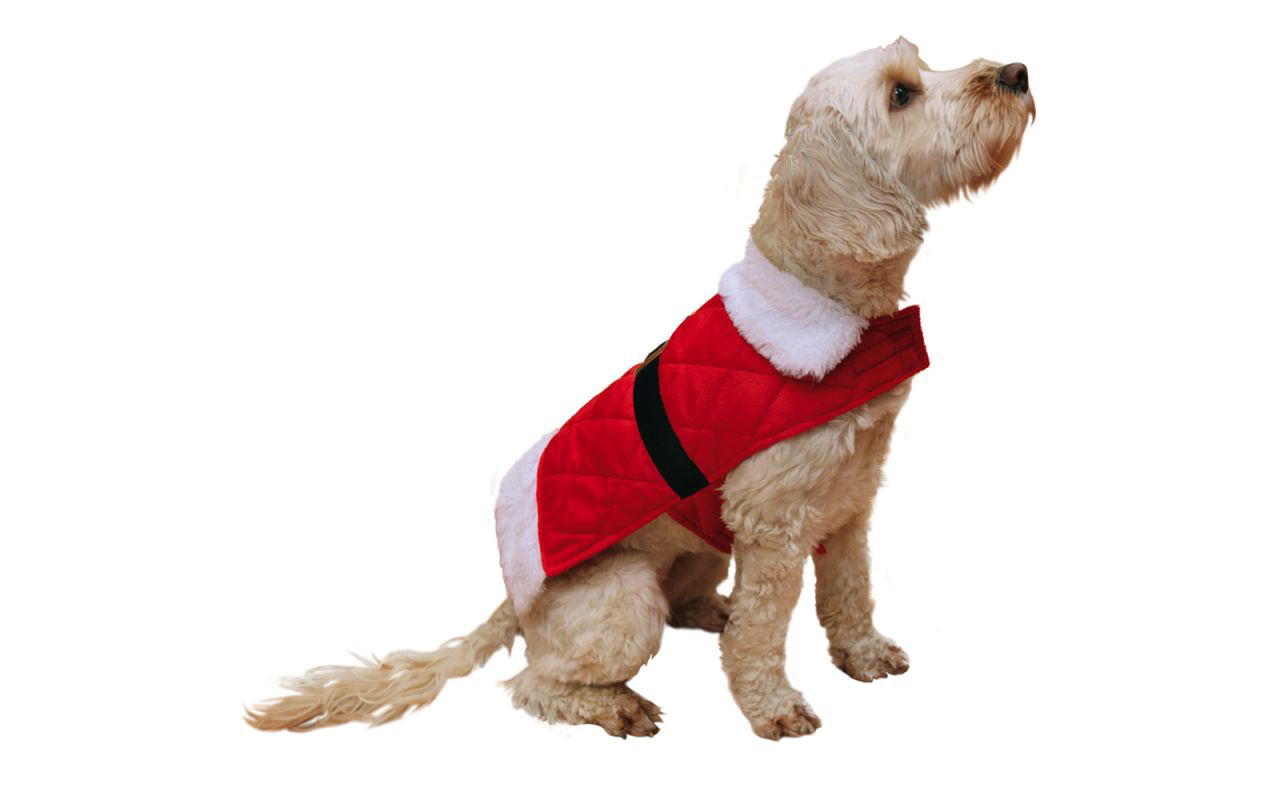 Christmas 4 Pets: Idee per un natale a quattro zampe