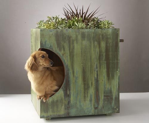 Greenery: il colore Pantone 2017 nel pet design!