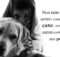 Dogalize: Intervista alla CEO Sara Colnago