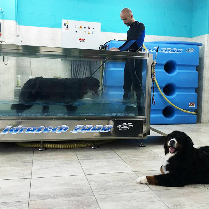 Piscina per cani terapeutica