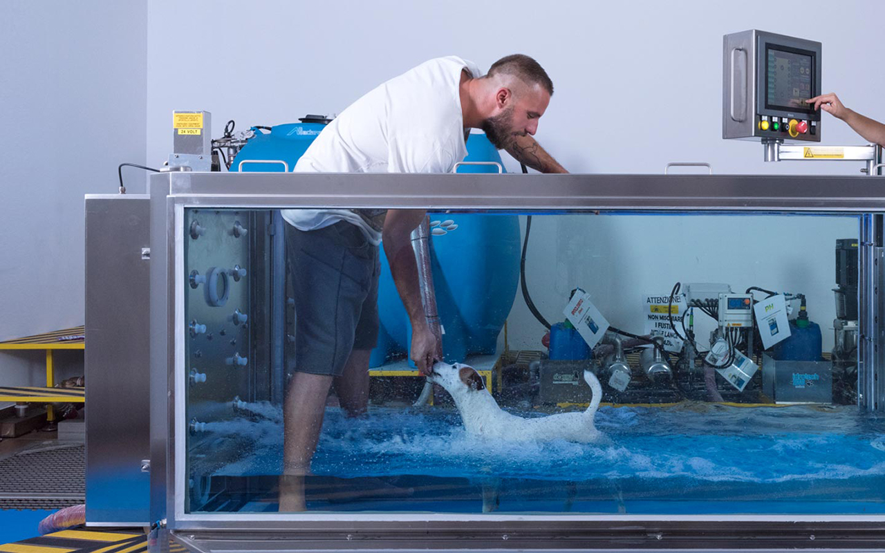 Piscina per cani terapeutica: cos'è e dove trovarla