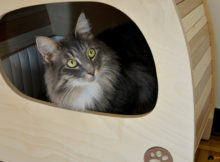 Recensione: Giomilla Flux, casetta per animali in legno