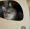 Recensione: Giomilla Flux, casetta per animali in legno