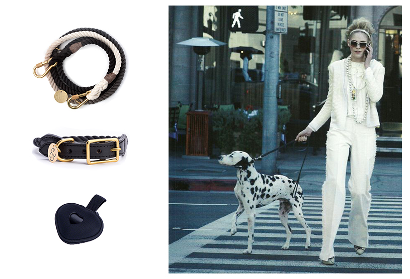 Collari e pettorine per cani di design: a spasso con stile!