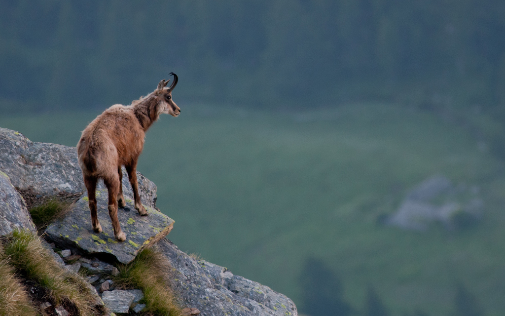 Parco nazionale dello Stelvio: tra i più antichi d'Italia