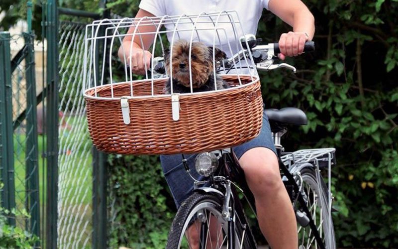 In bicicletta con il cane, cosa usare e cosa fare