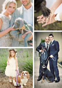 Matrimonio con il cane: idee e regole da seguire per una cerimonia perfetta!