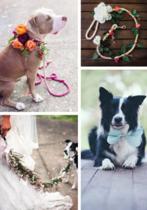 Matrimonio con il cane: idee e regole da seguire per una cerimonia perfetta!