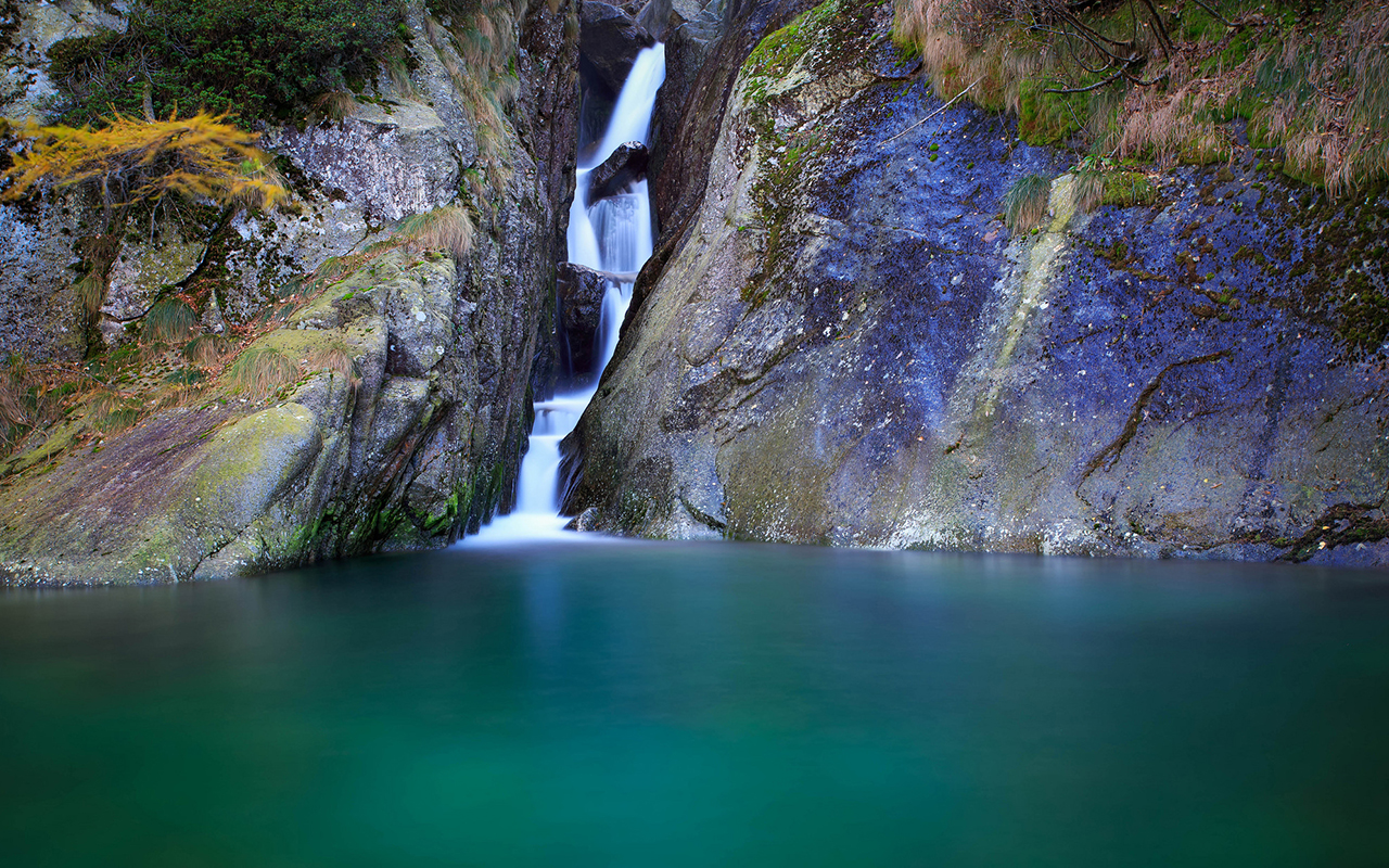 Parco nazionale del Gran Paradiso: gli animali del parco più antico d'Italia