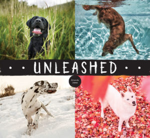 Unleashed, l'ultima raccolta fotografica di Amanda Jones