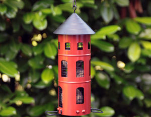 10 casette per uccelli da giardino