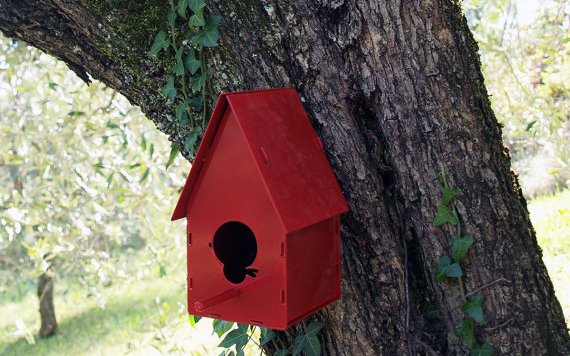 10 casette per uccelli da giardino