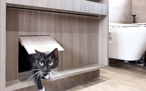 Arredare un mini appartamento a misura di gatto