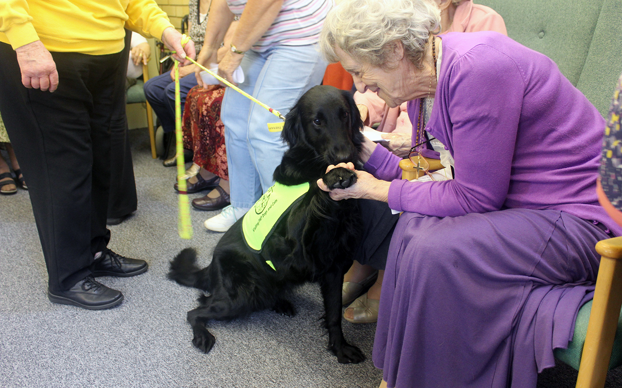 Cani adatti alla pet therapy: le razze più indicate