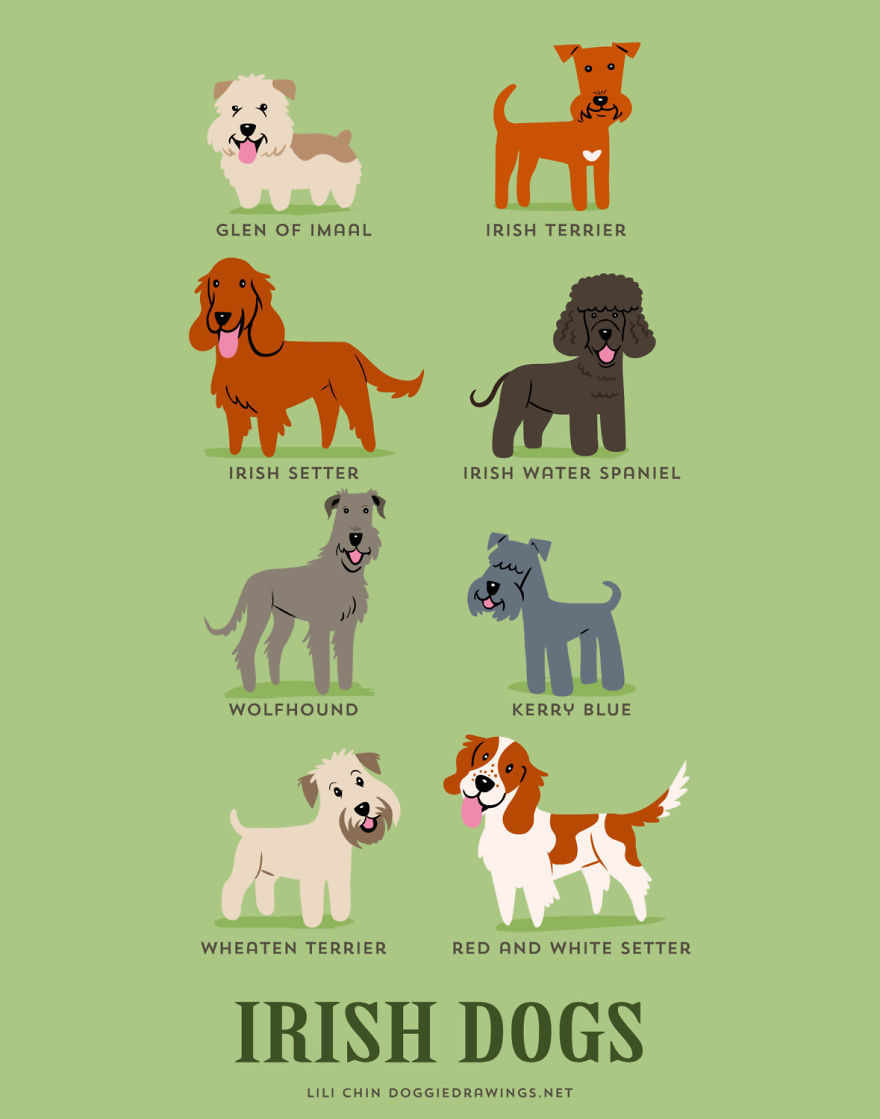 Le razze di cani del mondo sulle illustrazioni di Lili ChinLe razze di cani del mondo sulle illustrazioni di Lili Chin