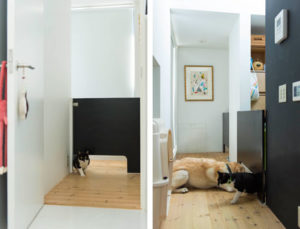 Progettare una casa a misura degli animali, spunti dal Giappone