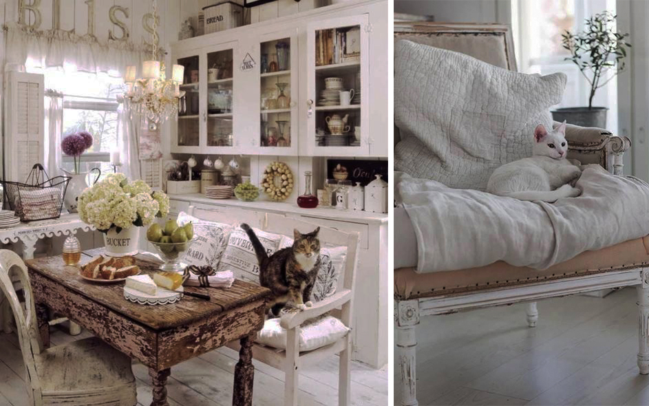 Ispirazioni di pet design | Stile shabby chic per cani e gatti