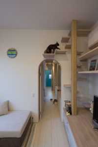 Il progetto di una villa moderna a misura di gatto