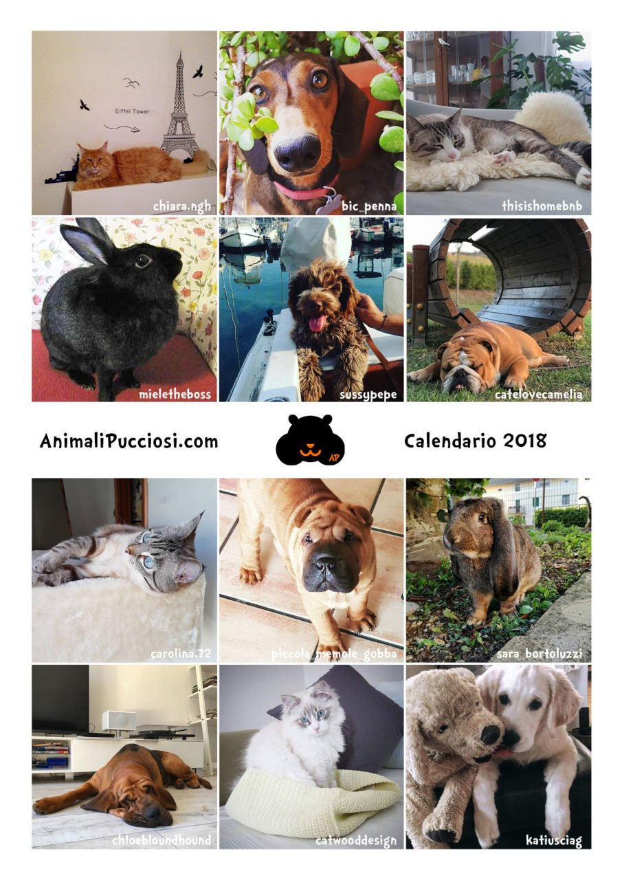 Il calendario 2018 degli animali gratis per voi!